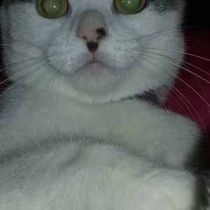 Meet your Posher, Ruth